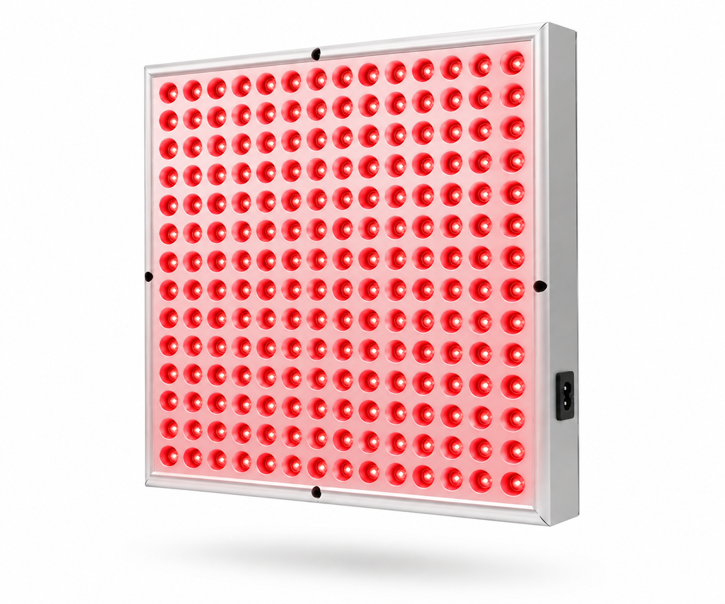 RESTORRE Red Light Panel
